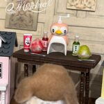 8月ミシール店舗のご案内の写真