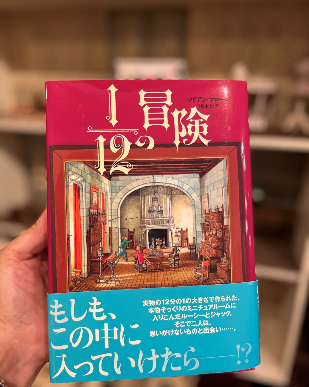 書籍「1/12の冒険」の写真
